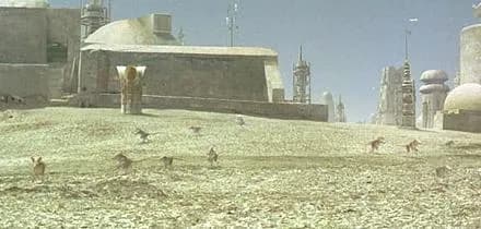 Scurriers à l'entrée de Mos Eisley