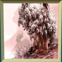L'Arbre de la Vie