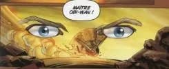 Vision d'Anakin