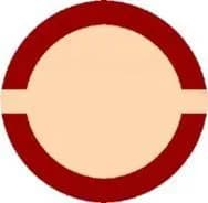 Flotte de l'Open Circle