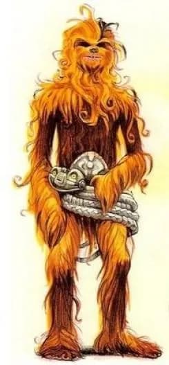 Lowbacca et DTM