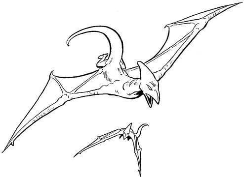 Ptérosaures en vol