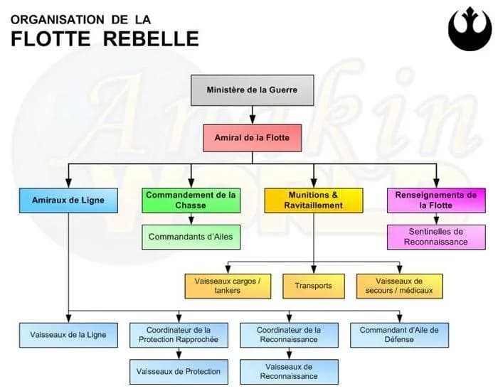 Organisation de la Flotte Rebelle