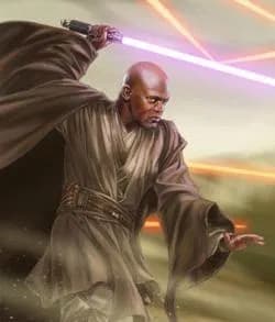 Le Maitre Jedi Mace Windu