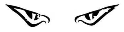 Exemple de représentation des yeux de jaig.