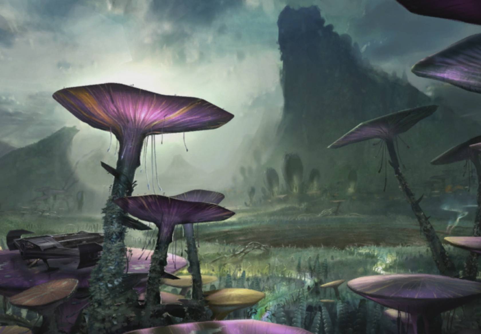 Minéraux & Végétaux