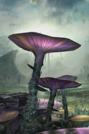 Minéraux & Végétaux